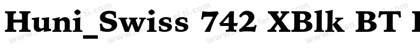 Huni_Swiss 742 XBlk BT Regular字体转换